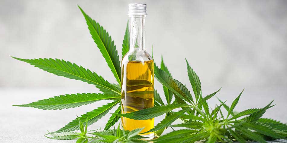 CBD Or Cannabidoil